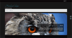 Desktop Screenshot of marialauracolicigno.com